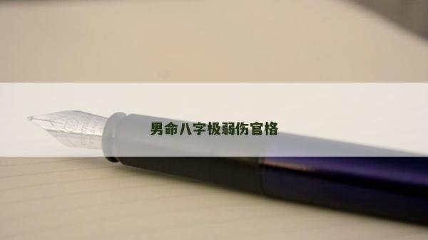 男命八字极弱伤官格