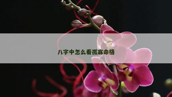 八字中怎么看孤寡命格