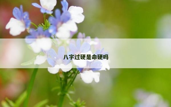 八字过硬是命硬吗