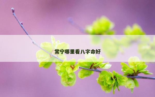 常宁哪里看八字命好