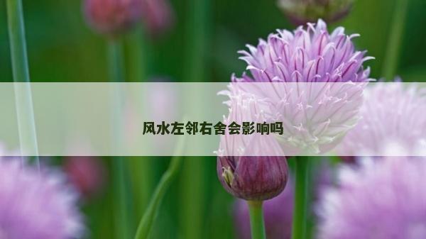 风水左邻右舍会影响吗