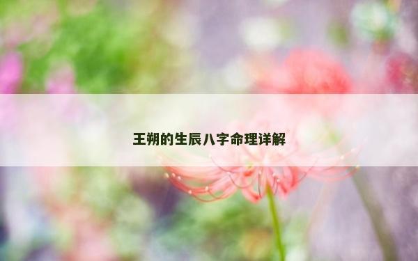 王朔的生辰八字命理详解