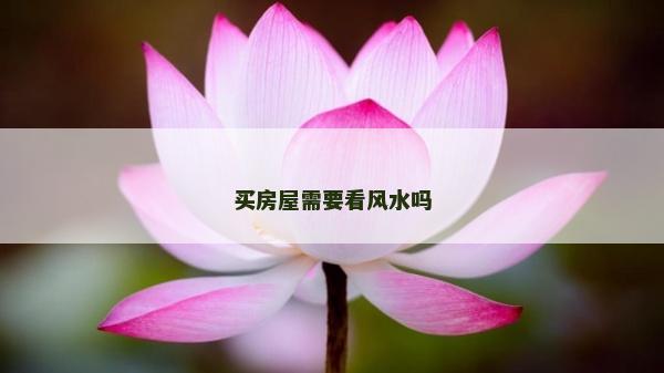 买房屋需要看风水吗
