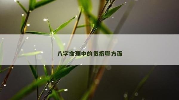 八字命理中的贵指哪方面