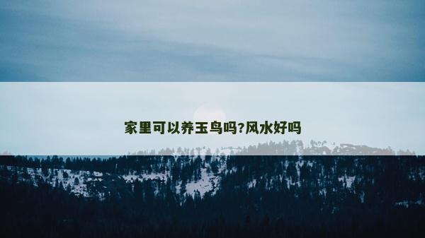 家里可以养玉鸟吗?风水好吗