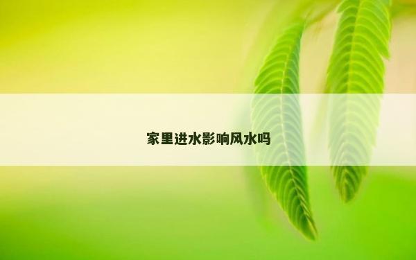 家里进水影响风水吗