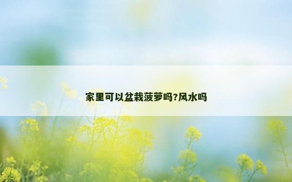 家里可以盆栽菠萝吗?风水吗
