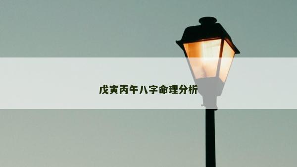 戊寅丙午八字命理分析