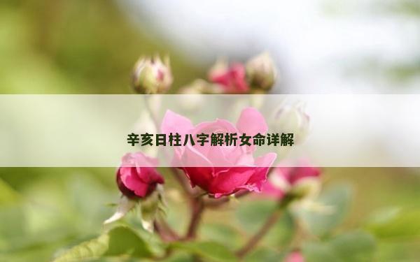辛亥日柱八字解析女命详解