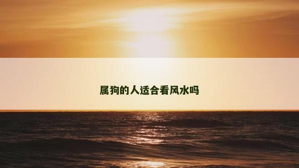 属狗的人适合看风水吗