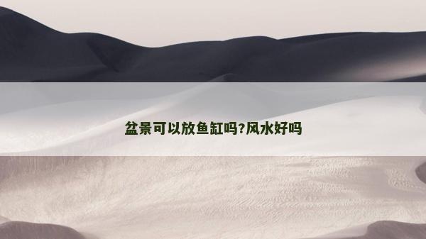 盆景可以放鱼缸吗?风水好吗