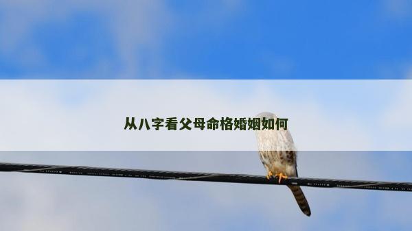从八字看父母命格婚姻如何