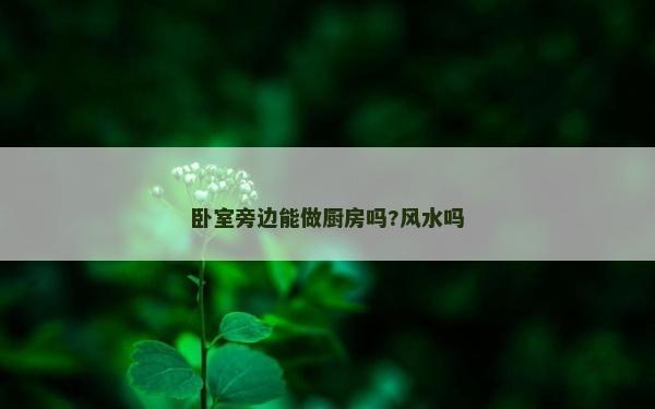 卧室旁边能做厨房吗?风水吗