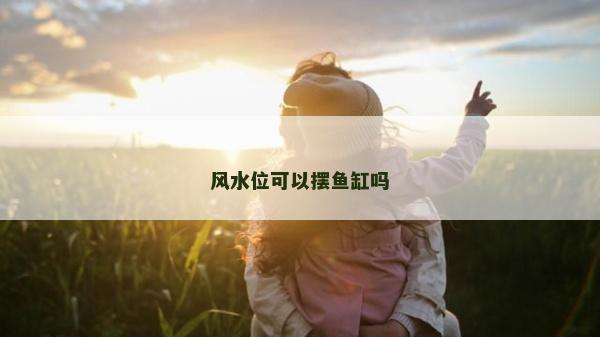 风水位可以摆鱼缸吗