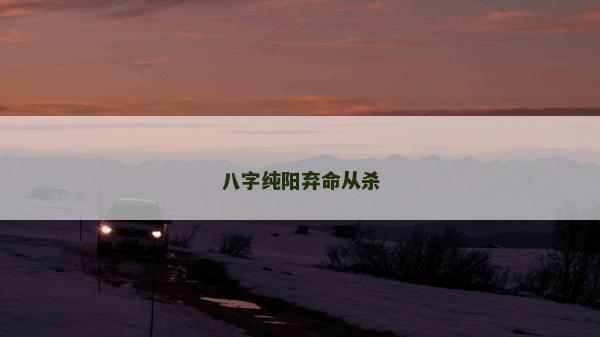 八字纯阳弃命从杀