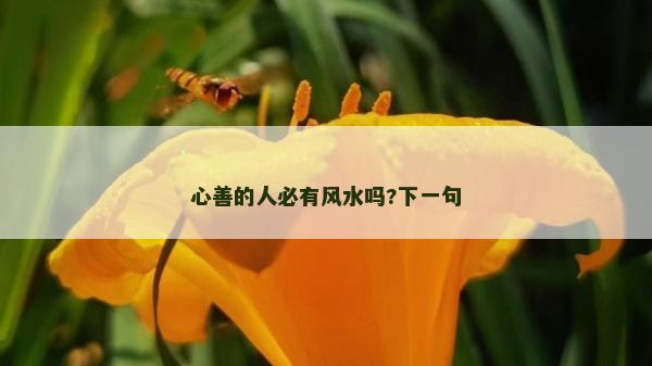 心善的人必有风水吗?下一句