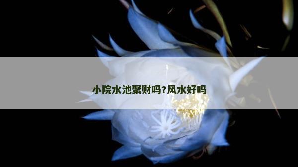 小院水池聚财吗?风水好吗