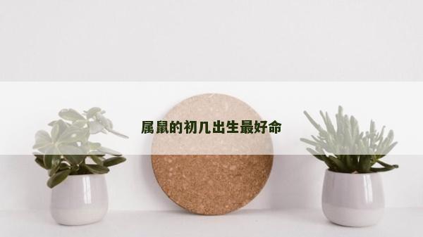 属鼠的初几出生最好命
