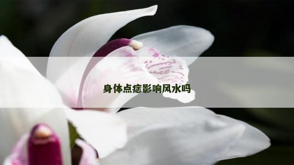 身体点痣影响风水吗