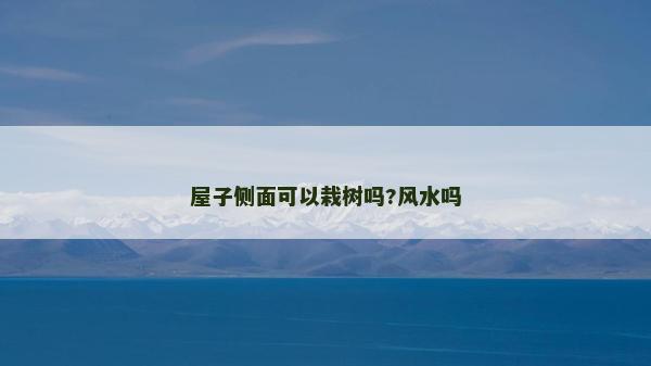 屋子侧面可以栽树吗?风水吗