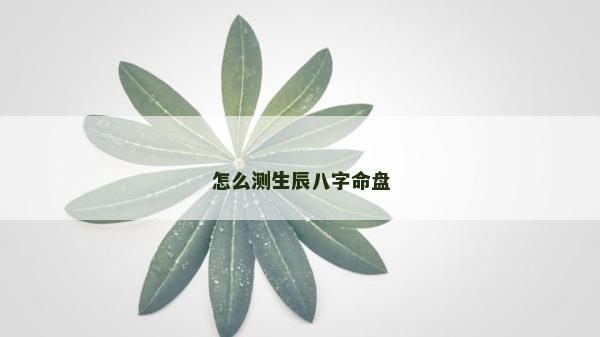 怎么测生辰八字命盘