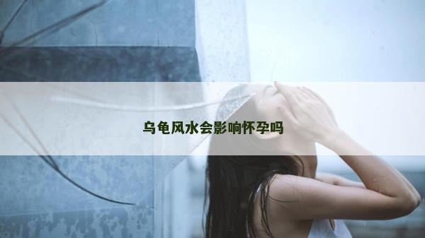 乌龟风水会影响怀孕吗