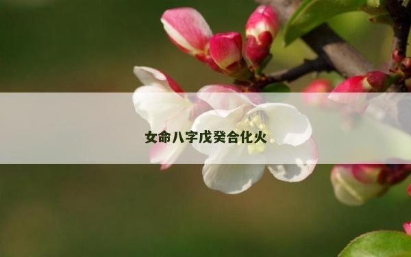 女命八字戊癸合化火