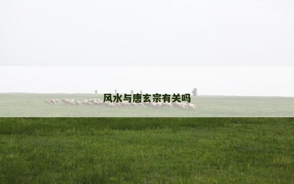风水与唐玄宗有关吗