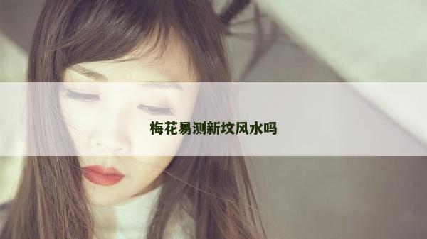 梅花易测新坟风水吗