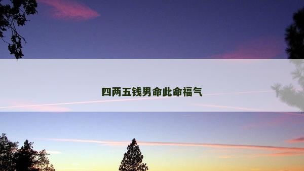 四两五钱男命此命福气