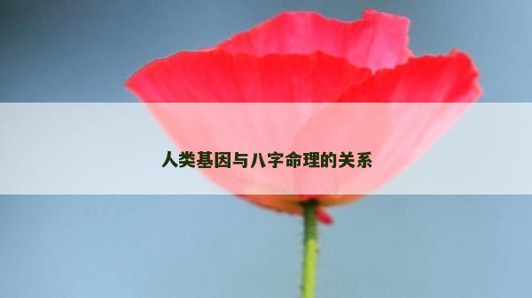 人类基因与八字命理的关系