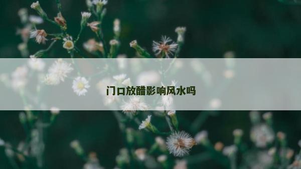 门口放醋影响风水吗