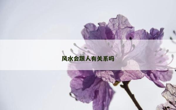 风水会跟人有关系吗