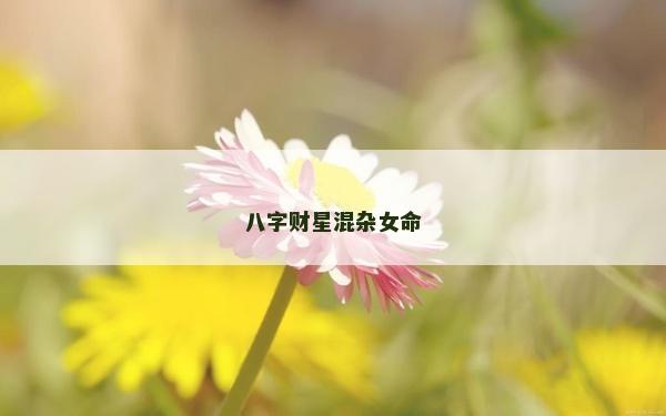 八字财星混杂女命