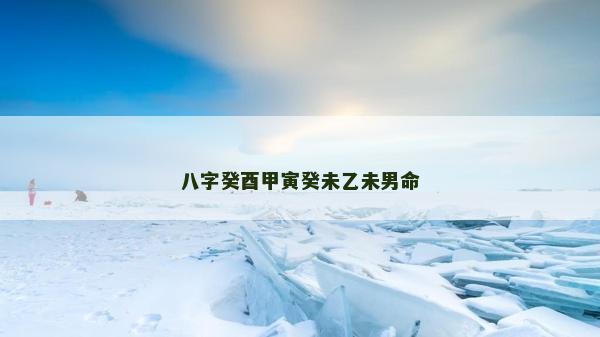 八字癸酉甲寅癸未乙未男命