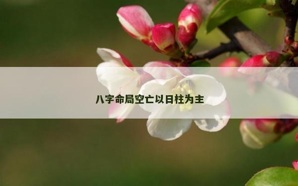 八字命局空亡以日柱为主