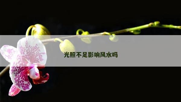 光照不足影响风水吗