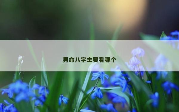 男命八字主要看哪个