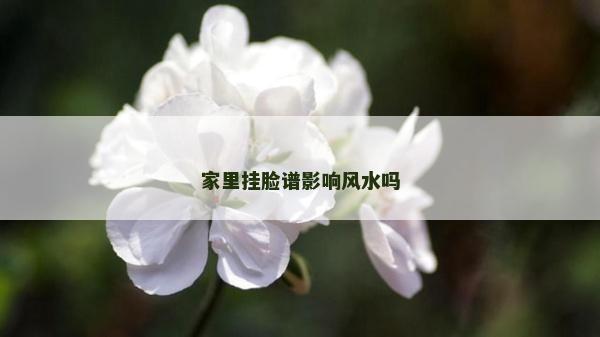 家里挂脸谱影响风水吗