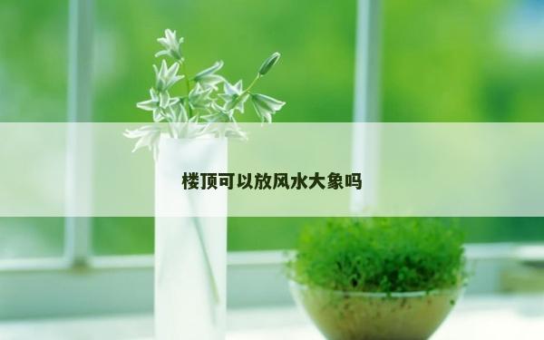 楼顶可以放风水大象吗