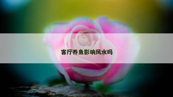 客厅养鱼影响风水吗