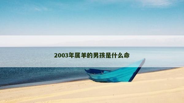 2003年属羊的男孩是什么命