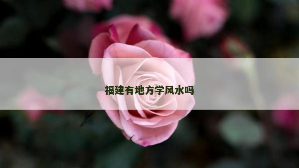 福建有地方学风水吗