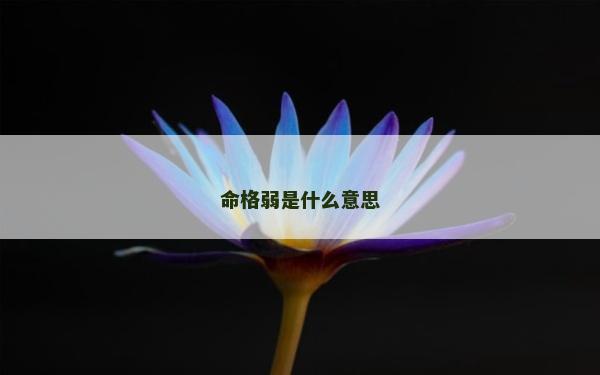 命格弱是什么意思