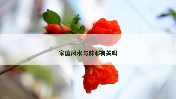 家庭风水与辟邪有关吗