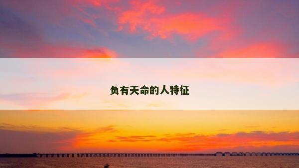 负有天命的人特征