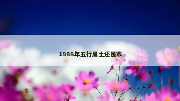 1988年五行属土还是木