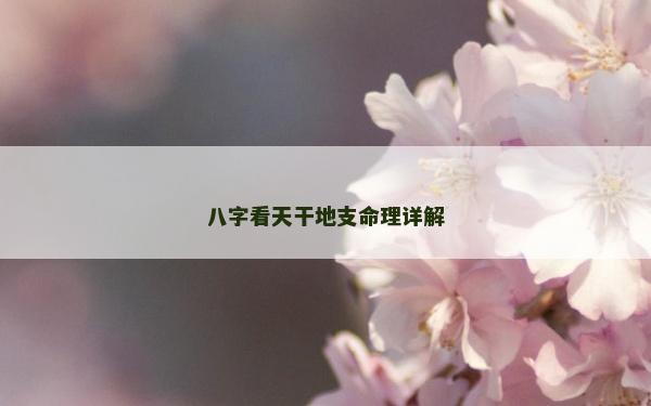 八字看天干地支命理详解