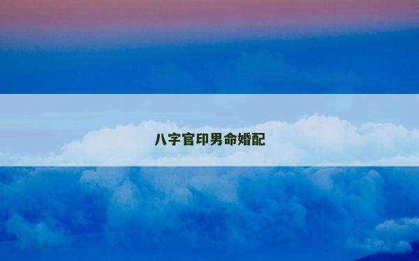 八字官印男命婚配