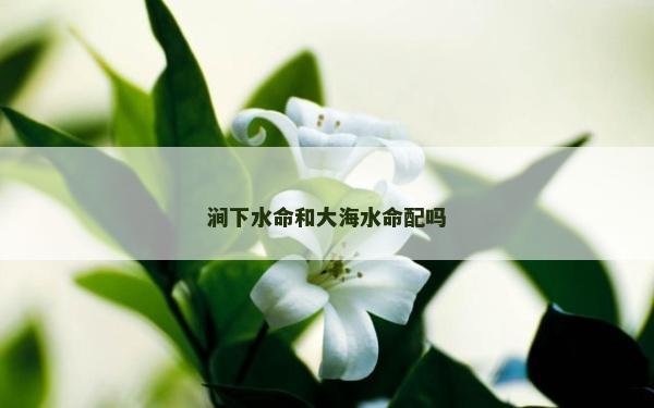涧下水命和大海水命配吗